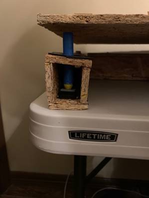 A picture containing indoor

Description automatically generated